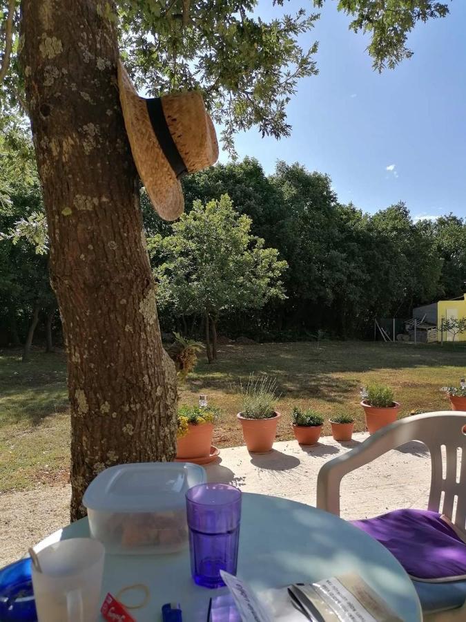 Tiny House Dora Villa Marcana Bagian luar foto
